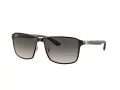 Ray-Ban Sonnenbrille RB 0RB3721 187/11