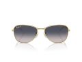 Ray-Ban Sonnenbrille RB 3733 001/78