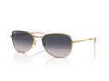 Ray-Ban Sonnenbrille RB 3733 001/78