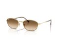 Ray-Ban Sonnenbrille RB 3749 001/51