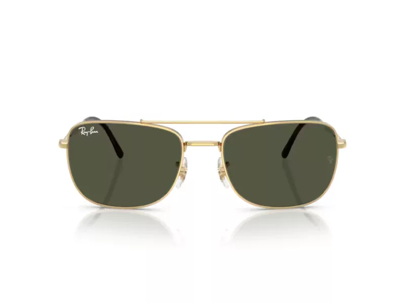 Ray-Ban Sonnenbrille RB 3755 001/31