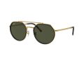 Ray-Ban Sonnenbrille RB 0RB3765 919631