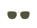 Ray-Ban Frank Sonnenbrille RB 3857 9196/31