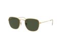 Ray-Ban Frank Sonnenbrille RB 3857 9196/31