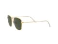 Ray-Ban Frank Sonnenbrille RB 3857 9196/31