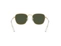 Ray-Ban Frank Sonnenbrille RB 3857 9196/31