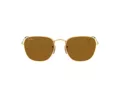 Ray-Ban Frank Sonnenbrille RB 3857 9196/33