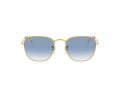 Ray-Ban Frank Sonnenbrille RB 3857 9196/3F