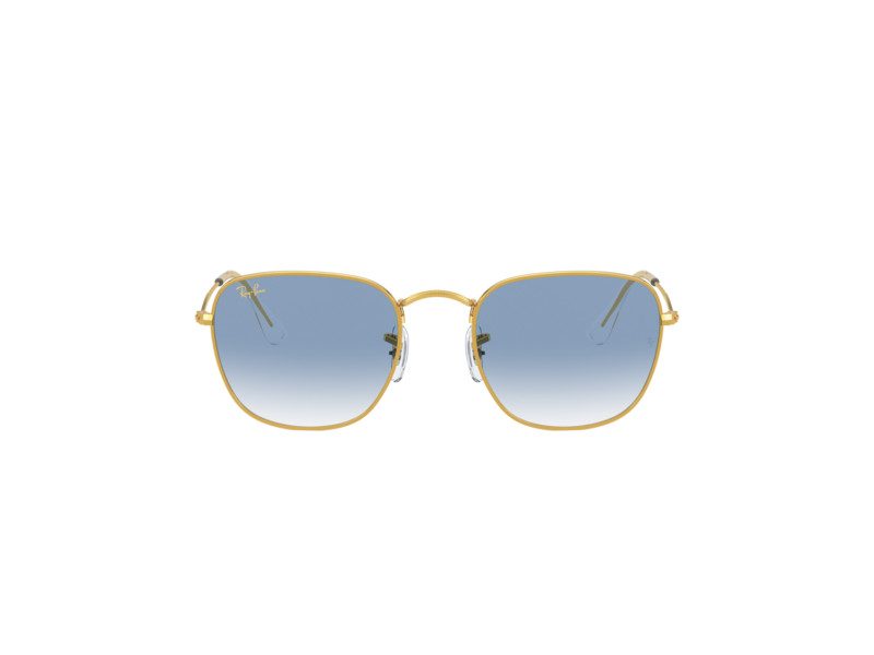 Ray-Ban Frank Sonnenbrille RB 3857 9196/3F