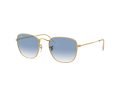 Ray-Ban Frank Sonnenbrille RB 3857 9196/3F
