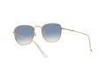 Ray-Ban Frank Sonnenbrille RB 3857 9196/3F