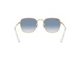Ray-Ban Frank Sonnenbrille RB 3857 9196/3F