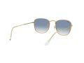 Ray-Ban Frank Sonnenbrille RB 3857 9196/3F