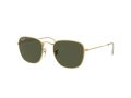 Ray-Ban Frank Sonnenbrille RB 3857 9196/58