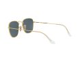 Ray-Ban Frank Sonnenbrille 3857 9196R5