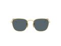 Ray-Ban Frank Sonnenbrille 3857 9196R5