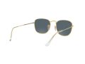 Ray-Ban Frank Sonnenbrille 3857 9196R5