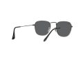 Ray-Ban Frank Sonnenbrille RB 3857 9229/B1