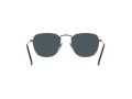 Ray-Ban Frank Sonnenbrille RB 3857 9230/R5