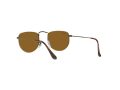 Ray-Ban Elon Sonnenbrille RB 3958 9228/33