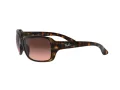 Ray-Ban Rb4068 Sonnenbrille RB 4068 642/A5