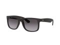 Ray-Ban Justin Sonnenbrille RB 4165 601/8G