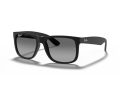 Ray-Ban Justin Sonnenbrille RB 4165 622/T3