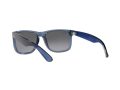Ray-Ban Justin Sonnenbrille RB 4165 6596T3