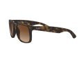 Ray-Ban Justin Sonnenbrille RB 4165 710/13