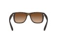 Ray-Ban Justin Sonnenbrille RB 4165 710/13