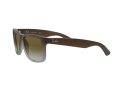 Ray-Ban Justin Sonnenbrille RB 4165 854/7Z