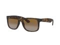 Ray-Ban Justin Sonnenbrille RB 4165 865/T5