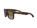 Ray-Ban Justin Sonnenbrille RB 4165 865/T5