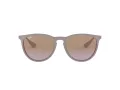 Ray-Ban Erika Sonnenbrille RB 4171 600068