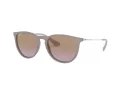 Ray-Ban Erika Sonnenbrille RB 4171 600068