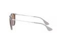 Ray-Ban Erika Sonnenbrille RB 4171 600068