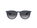 Ray-Ban Erika Sonnenbrille RB 4171 60028G