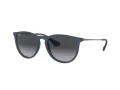 Ray-Ban Erika Sonnenbrille RB 4171 60028G