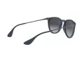 Ray-Ban Erika Sonnenbrille RB 4171 60028G