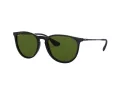Ray-Ban Erika Sonnenbrille RB 4171 601/2P