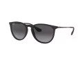 Ray-Ban Erika Sonnenbrille RB 4171 622/8G