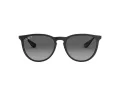 Ray-Ban Erika Sonnenbrille RB 4171 622/T3