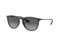 Ray-Ban Erika Sonnenbrille RB 4171 622/T3