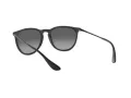 Ray-Ban Erika Sonnenbrille RB 4171 622/T3