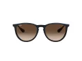 Ray-Ban Erika Sonnenbrille RB 4171 6315/13