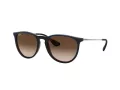 Ray-Ban Erika Sonnenbrille RB 4171 6315/13