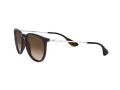 Ray-Ban Erika Sonnenbrille RB 4171 6315/13