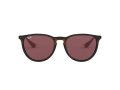 Ray-Ban Erika Sonnenbrille RB 4171 6391/75