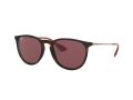 Ray-Ban Erika Sonnenbrille RB 4171 6391/75