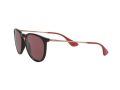 Ray-Ban Erika Sonnenbrille RB 4171 6391/75